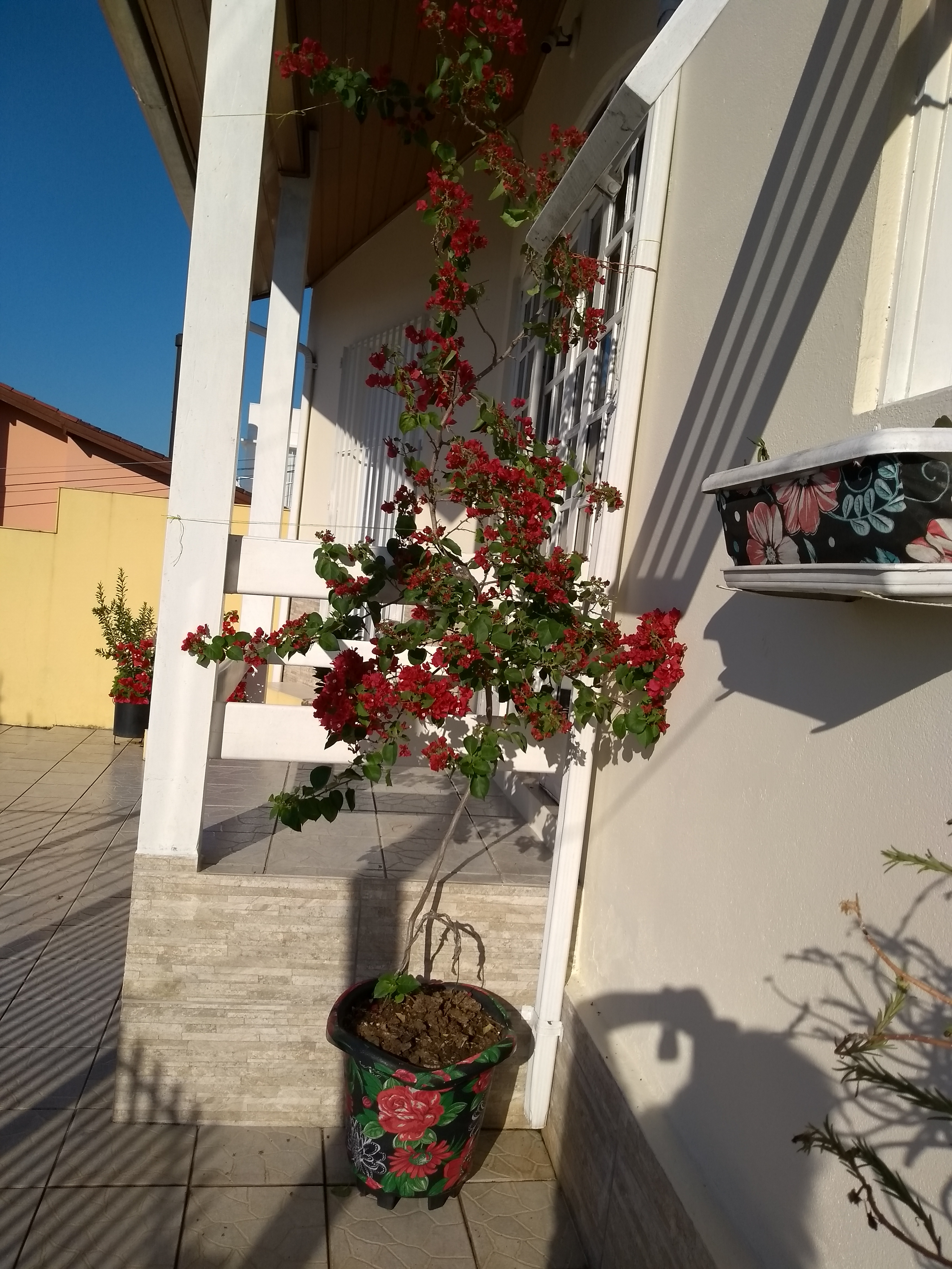 Foto da casa - Garagem